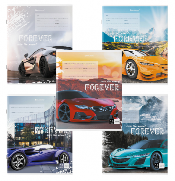 картинка Тетрадь 18 листов клетка Brauberg "SPORTS CAR" мелованный картон от магазина "Офисные мелочи"