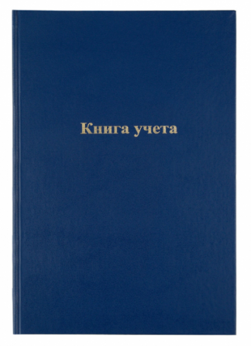картинка Книга учета А4 144 листа пустографка, офсет, бумвинил Space от магазина "Офисные мелочи"