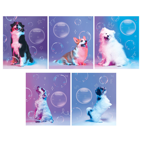 картинка Тетрадь 12 листов узкая косая линейка частая BG "Собаки" мелованный картон, вд-лак от магазина "Офисные мелочи"