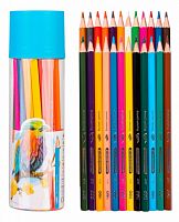 картинка Карандаши 24 цвета Deli "Color Emotion" шестигранные, липа, пластиковый тубус от магазина "Офисные мелочи"