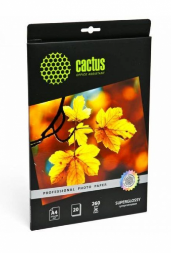 картинка Бумага глянцевая односторонняя А4 260 г/м. 20 л. CACTUS Professional от магазина "Офисные мелочи"